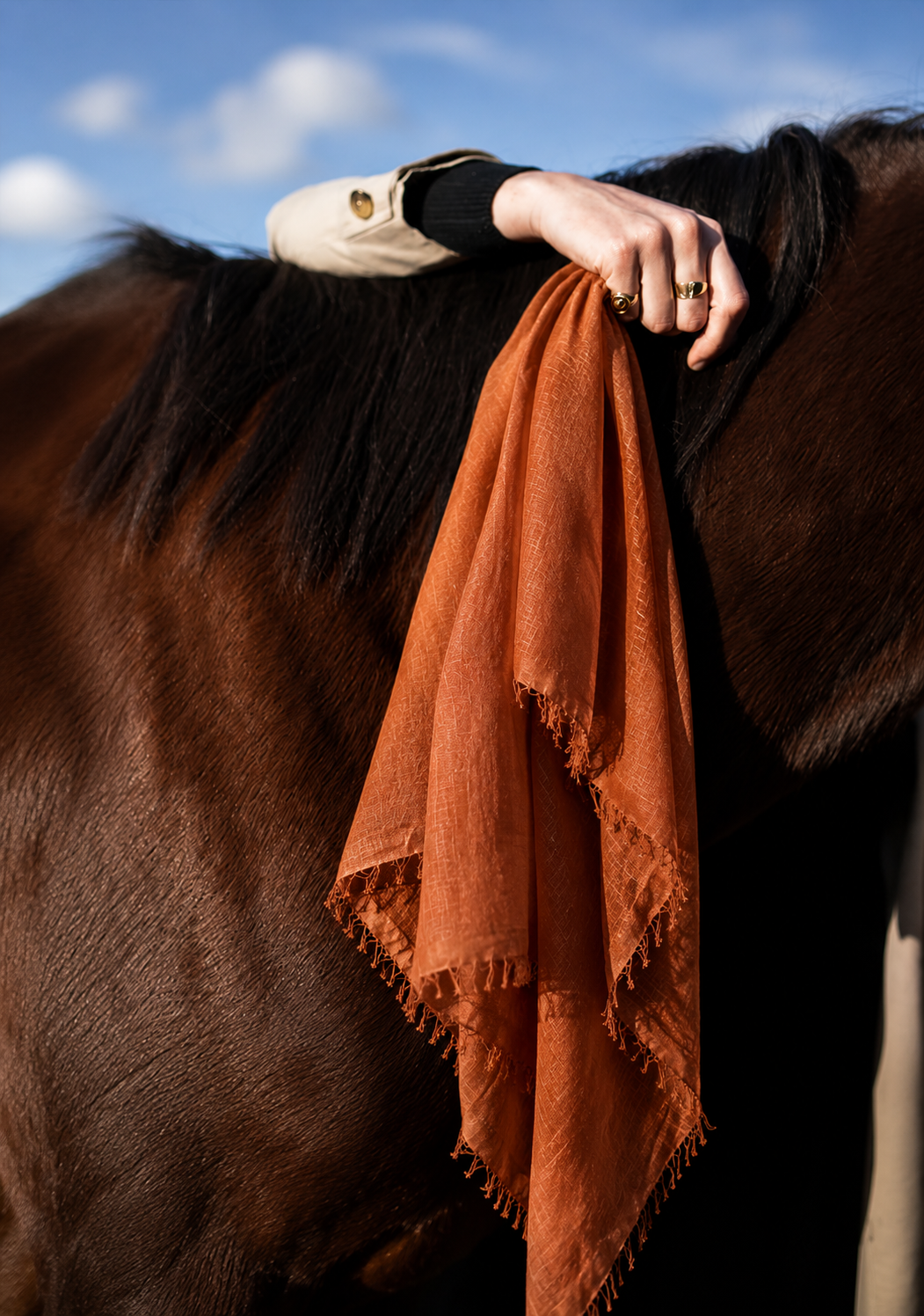 FOULARD EN COTON - RUST / TERRACOTTA